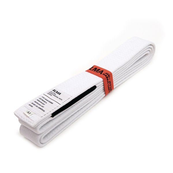 画像2: ALMA帯 (2)