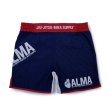 画像5: ALMA Fight shorts CAGE (5)