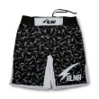 画像5: ALMA Fight shorts THUNDER (5)