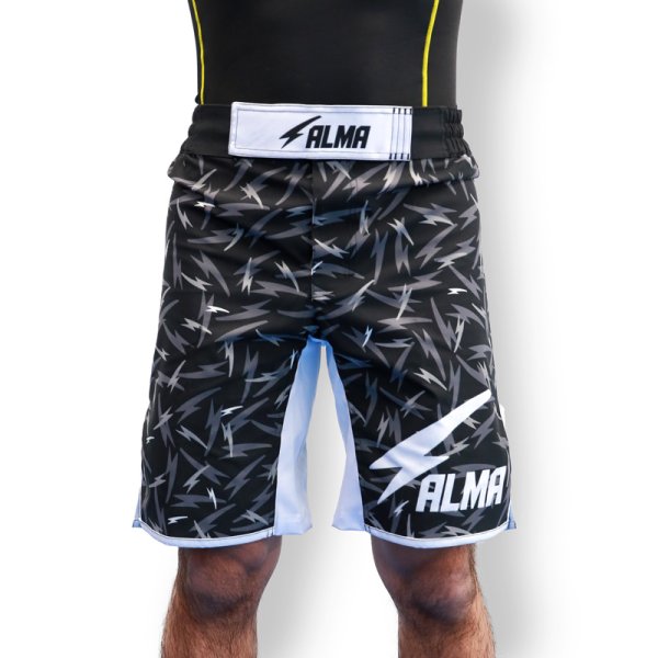 画像1: ALMA Fight shorts THUNDER (1)